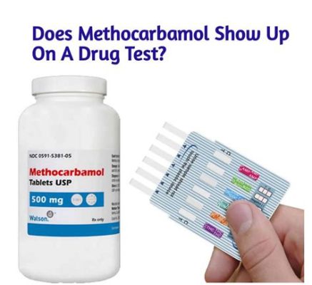 How Long Does Methocarbamol Show Up on a Drug Test: Exploring the Unpredictable Dance of Molecules in the Human Body