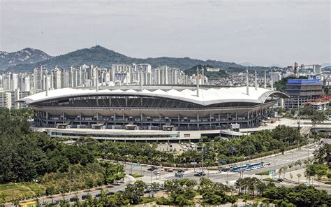 상암월드컵경기장, 고양이도 축구를 좋아할까?